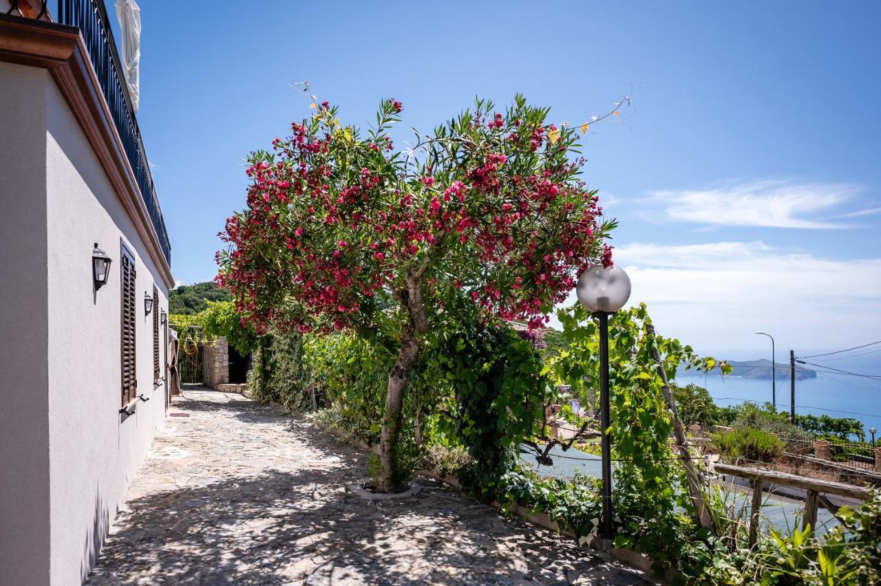 Casa Aniello Villa คาปริโอลิ ภายนอก รูปภาพ